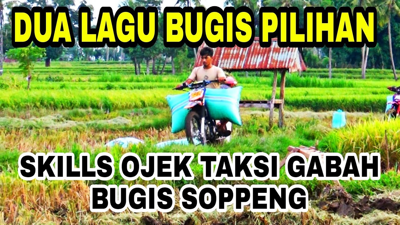 Wow ini dia Dua Lagu Bugis temani Kegiatan ojek gabah di soppeng sulawesi selatan