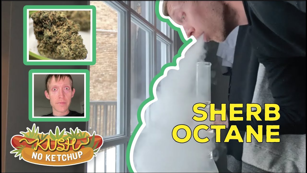 Sherb Octane Strain Review | KUSH NO KETCHUP