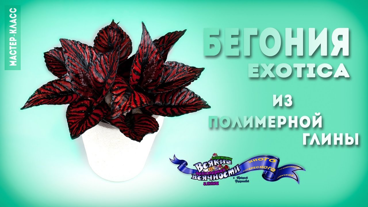 бегония Exotica из полимерной глины мастер-класс