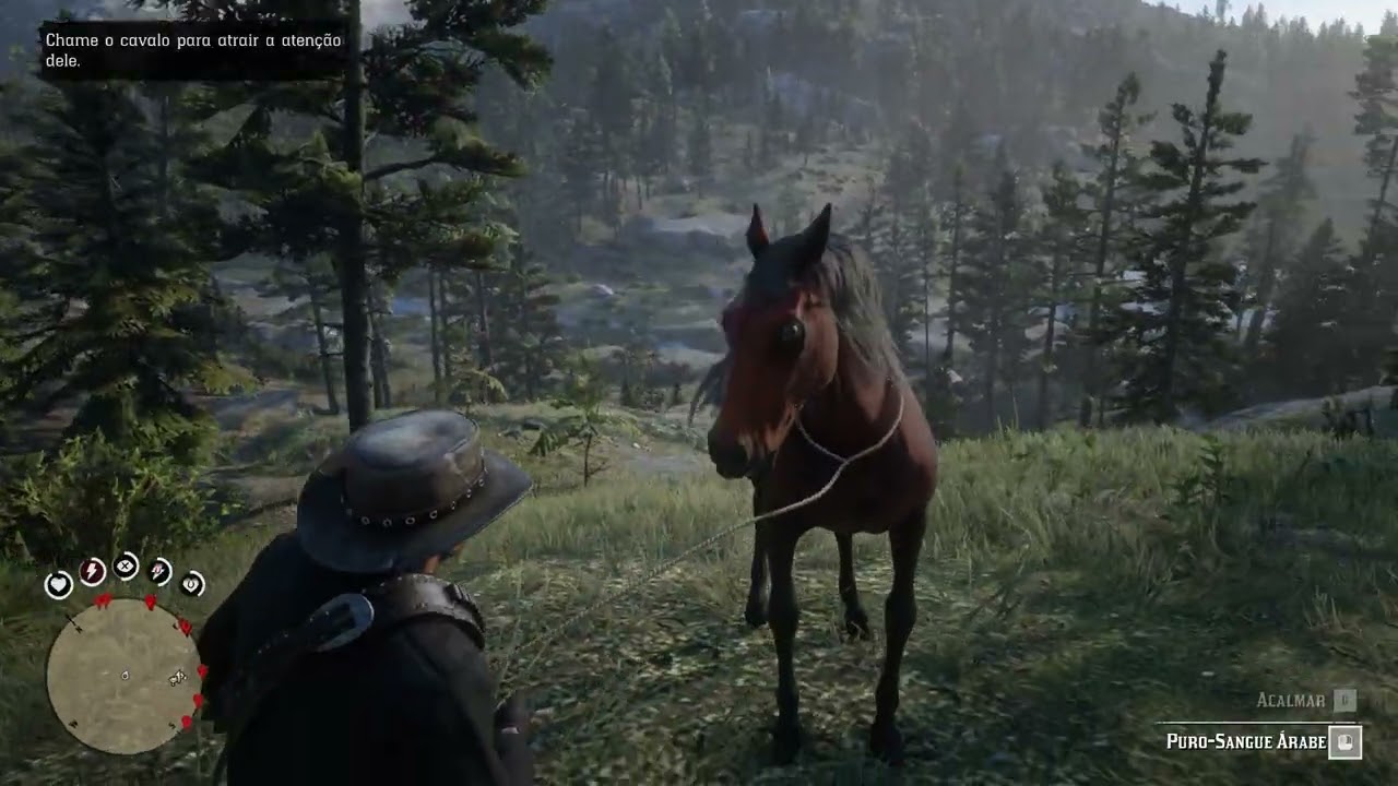Red Dead Redemption 2 - Domando O Puro Sangue Árabe Vermelho + localização