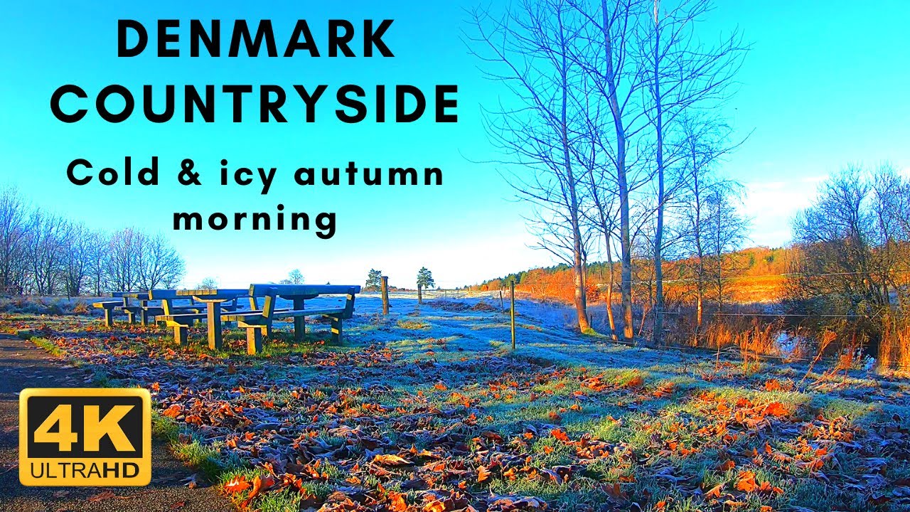 4K Denmark countryside walk | Cold and Icy autumn morning in Denmark | Autumn 2021 | Viking Trails