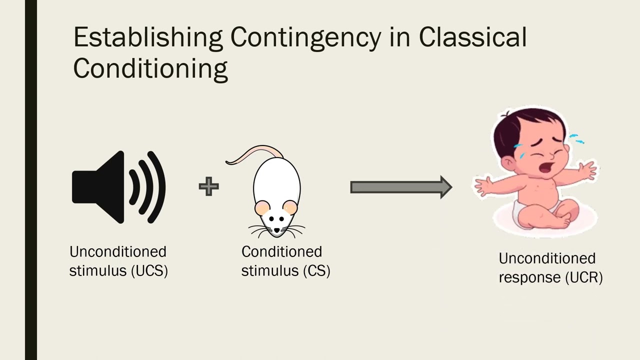 Contiguity and Contingency in Classical and Operant Conditioning