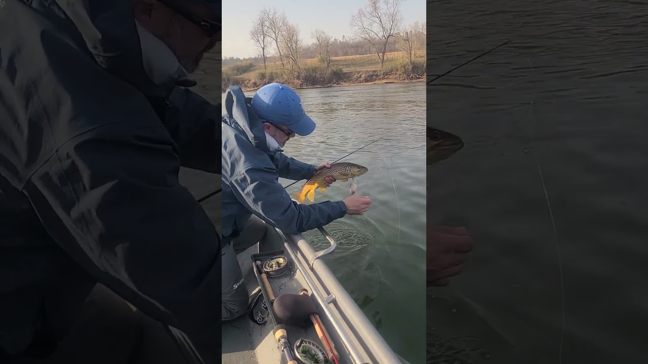 Приманка Glide Bait для ловли бурой форели #рыбалка #бураяфорель #ловляфорели