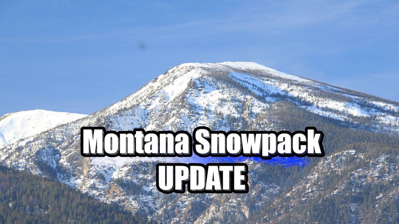Where is Montana's Snow?