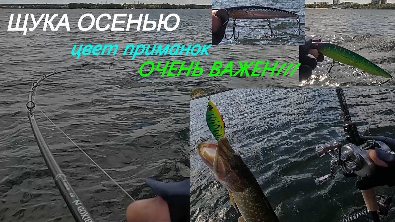 Осенняя щука. Цвет приманок ОЧЕНЬ ВАЖЕН!!!