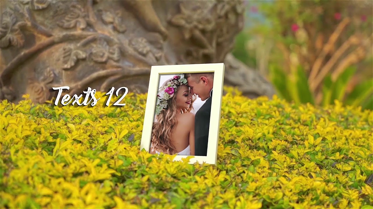 Wedding Album | After Effects Template
