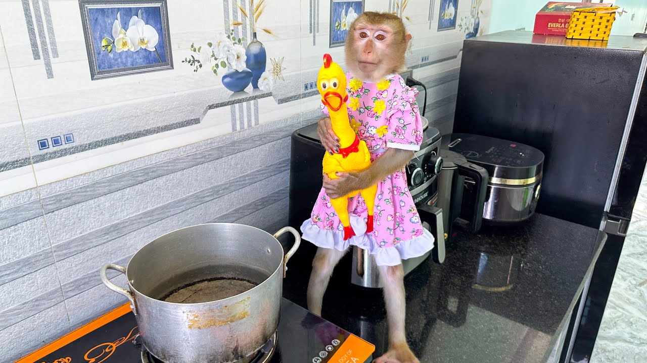 You can't eat boiled chicken cooked by Monkey Kaka in the kitchen
