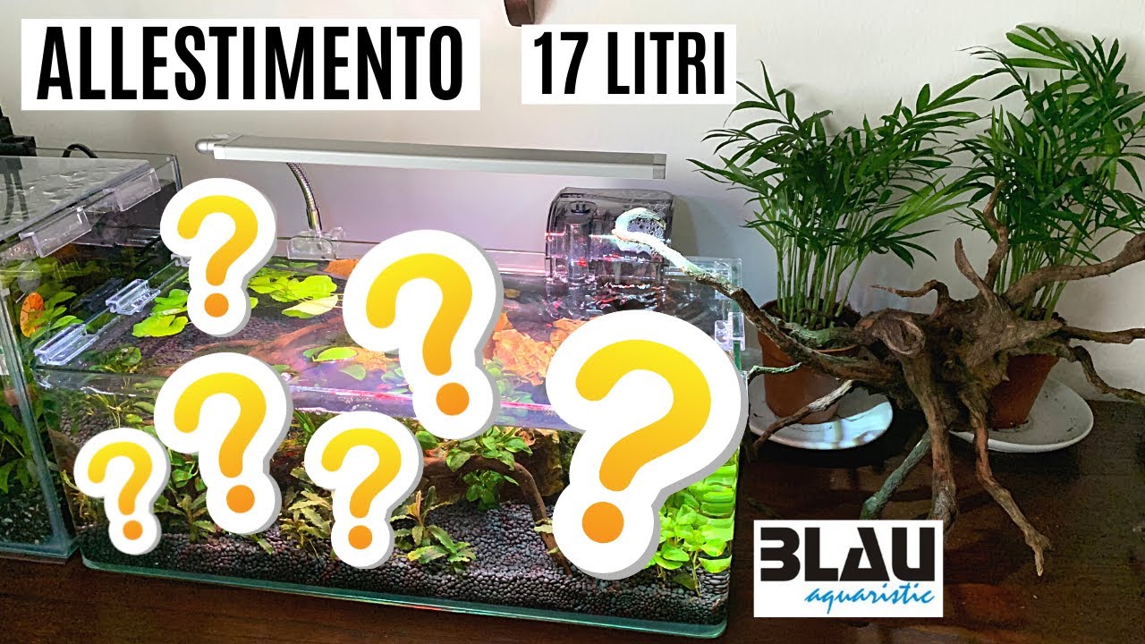ALLESTIMENTO BLAU CUBES PANORAMIC 17 LITRI 💦 Perfetto per il Betta!