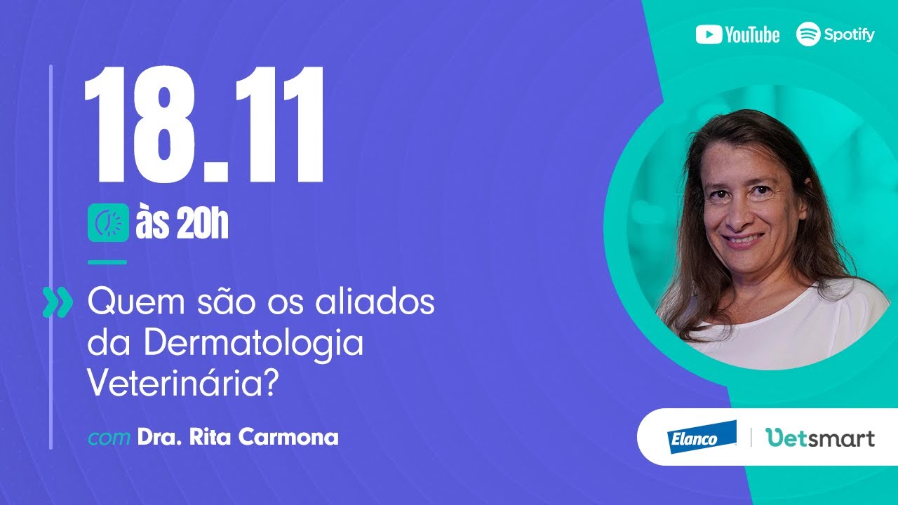 Quem são os aliados da Dermatologia Veterinária?