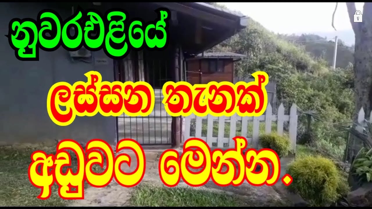 නුවර එළියෙන් ලස්සන තැනක් අඩුවට මෙන්න.podi malli/nuwara eliya awata idam/land sale/aduwata idam/