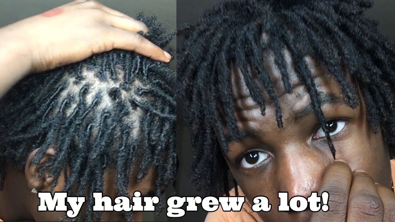 11 Month Dread Update