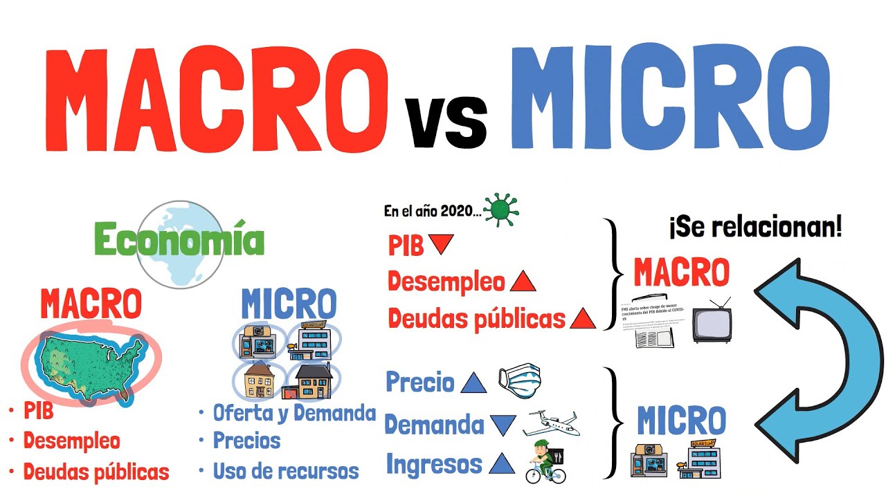 Diferencia entre MACROECONOMÍA y MICROECONOMÍA - Explicada para principiantes!