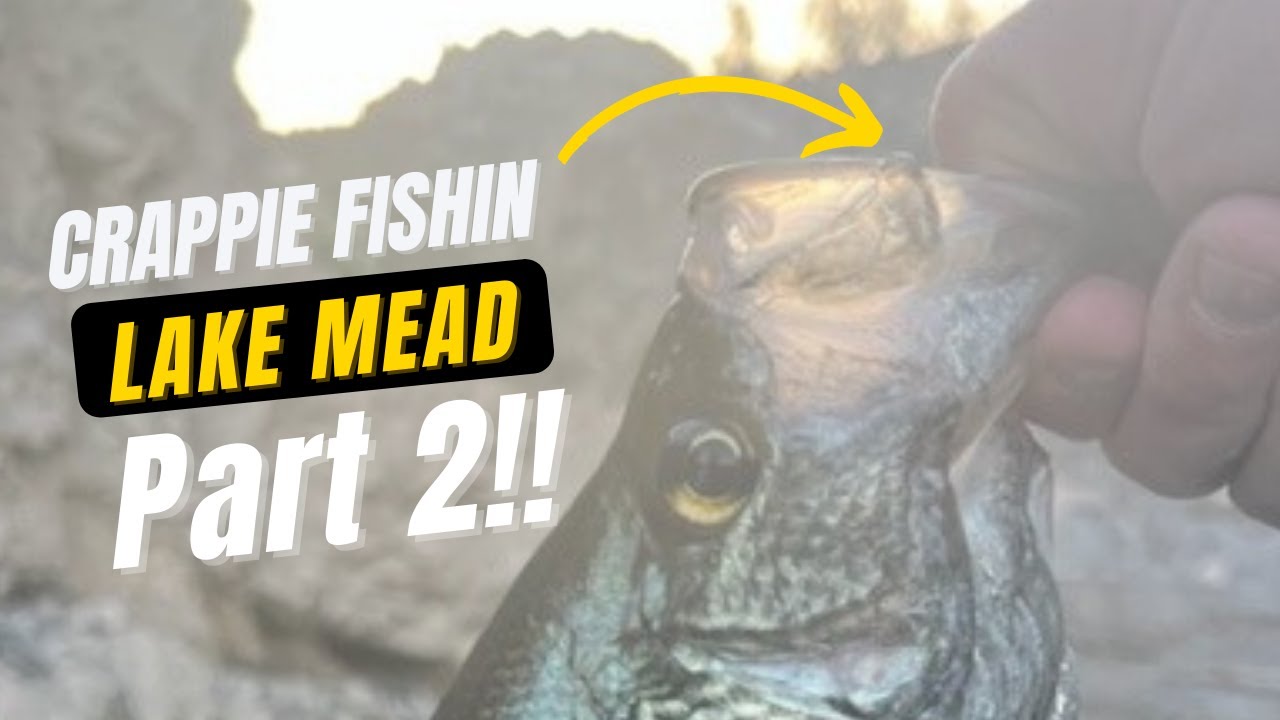 How to Catch Crappie at Lake Mead Pt. 2