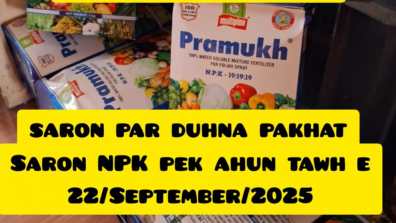 SARON par duhna органический NPK pek dan.Vihnun hlim sihtrawi dan,saron update aw🎉🌼🌻
