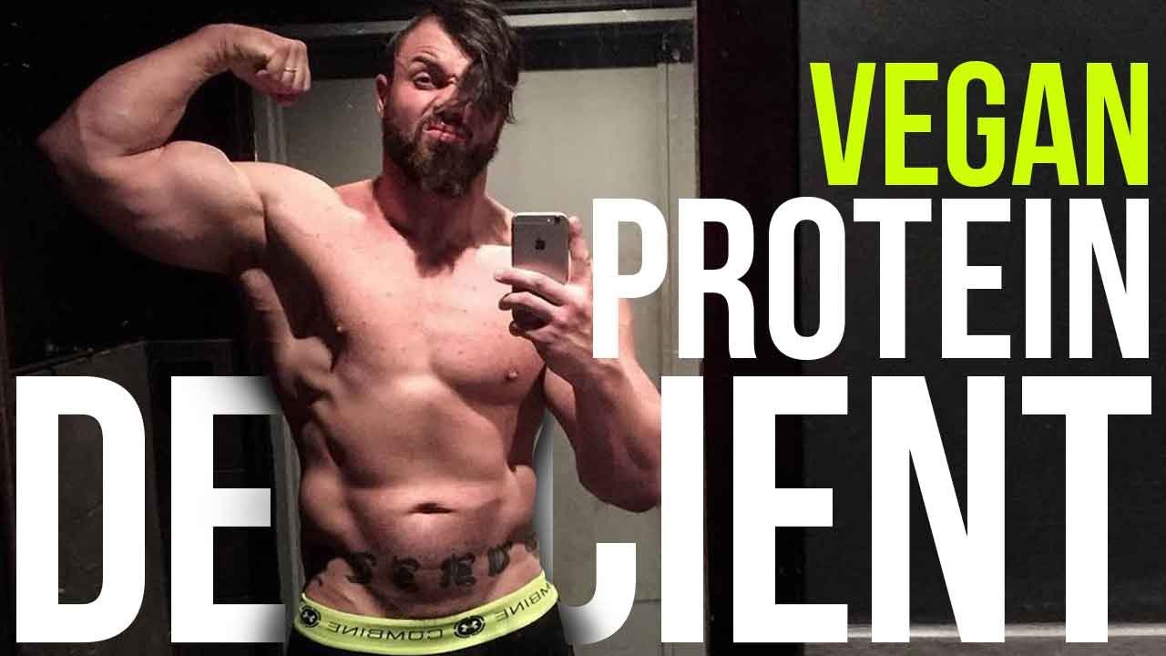 WHERE DO VEGANS GET THEIR PROTEIN?