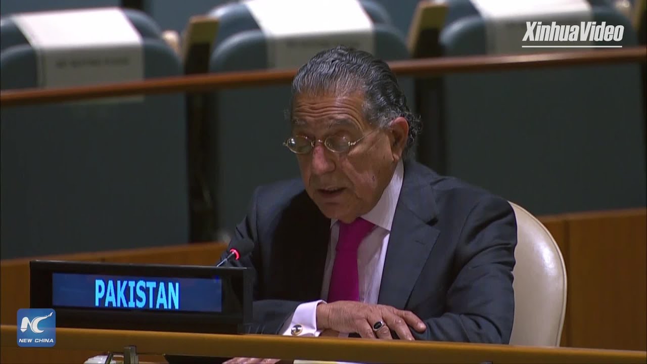 Pakistan makes joint statement at UN on behalf of 55 countries over Hong Kong issue