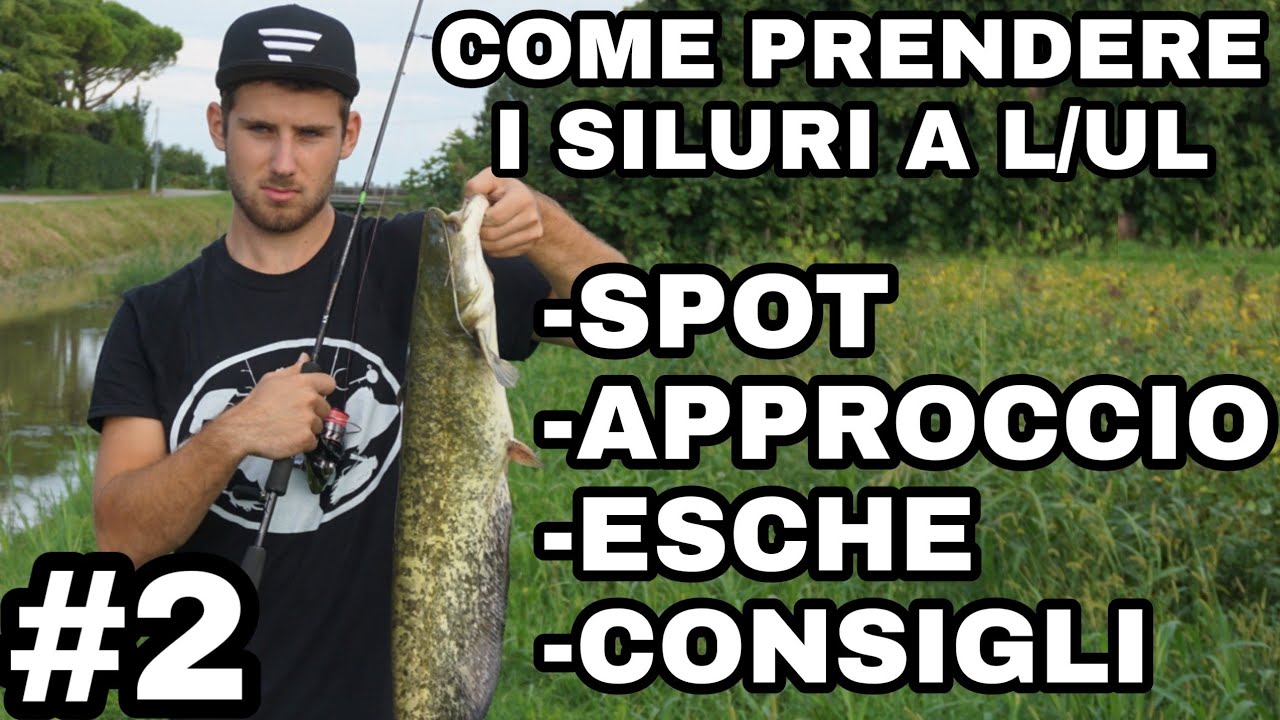 INSIDIARE I SILURI A LIGHT #2  ogni pesce il suo approccio
