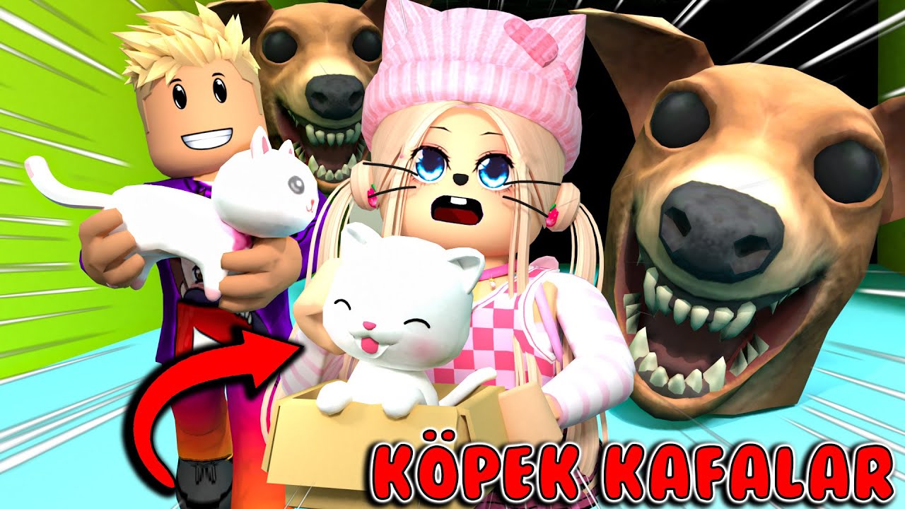 😱 YAVRU KEDİLERİ KÖPEK KAFALARDAN KURTARDIK 😻😂 | ROBLOX Doge Head Escape @robloxkrali @p4m1r