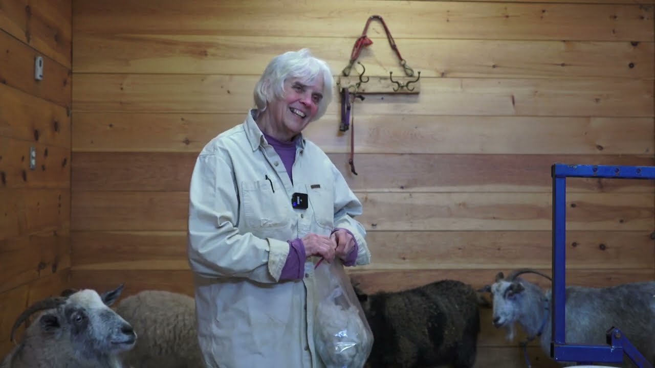 Combing Cashmere Goats