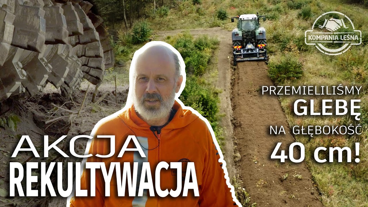 Frezarka krusząca Valentini DEMONIO 2000 | mulczer leśny | rekultywacja terenu