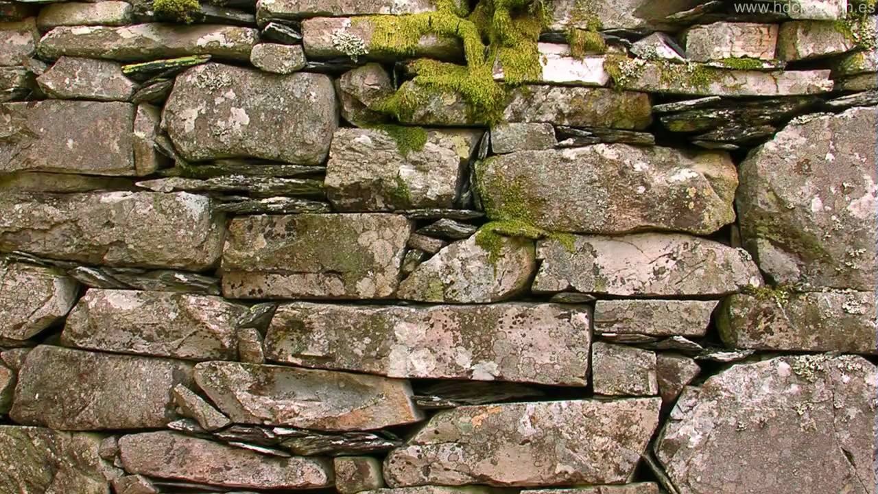 2ªParte- APICULTURA Y CONSERVACIÓN DE LA BIODIVERSIDAD