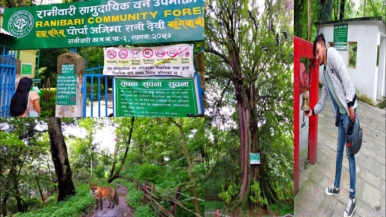 Ranibari Ban // famous Ranibari community Forest // Nepali Vlog // Pwn8848 // Kathmandu