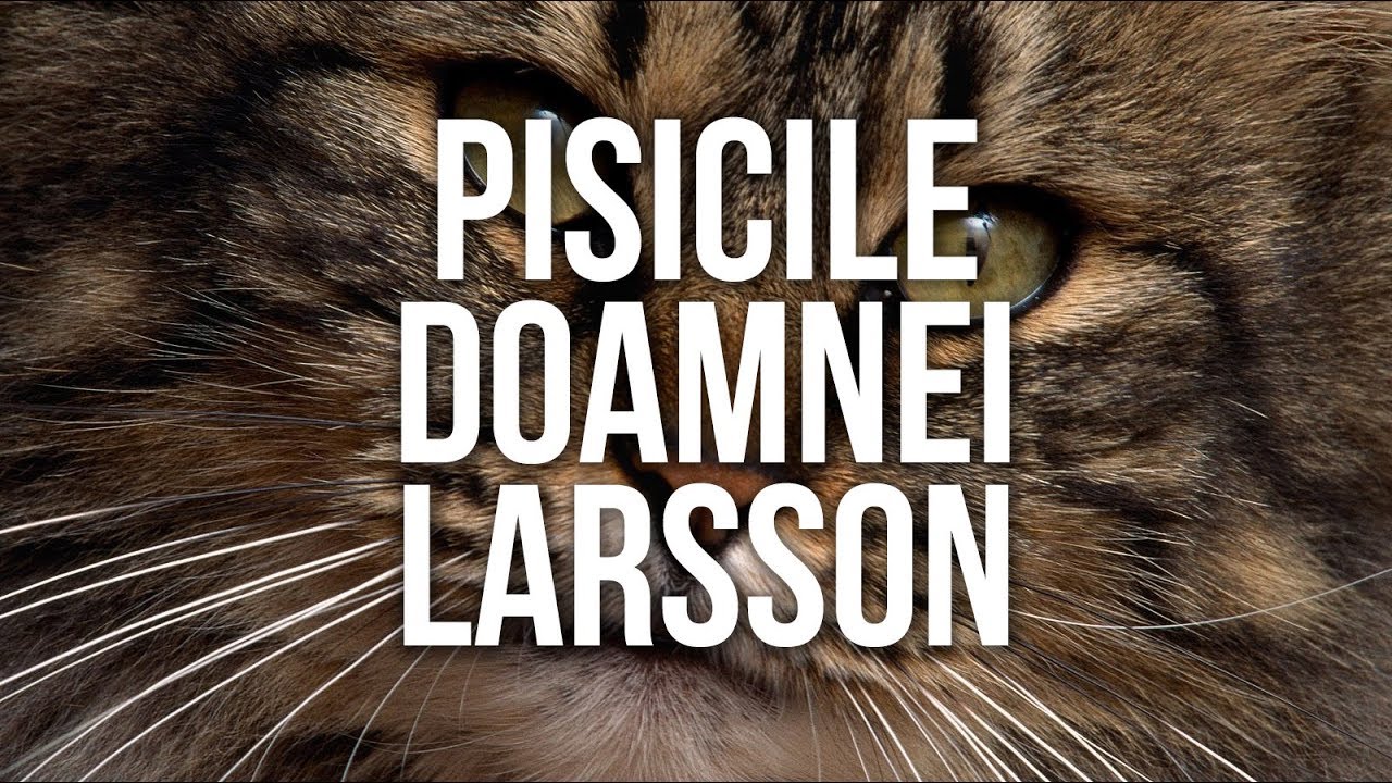 Pisicile Doamnei Larsson