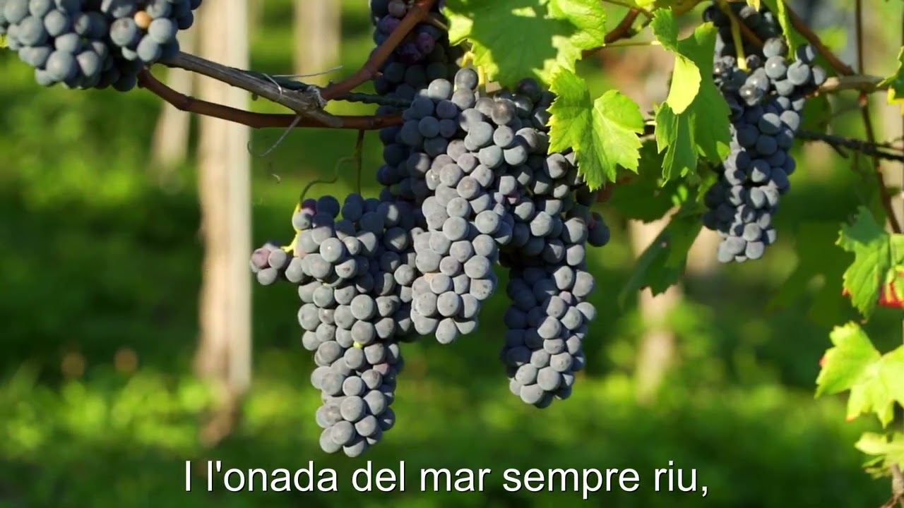 Res no és mesquí, (Joan Salvat-Papasseit)