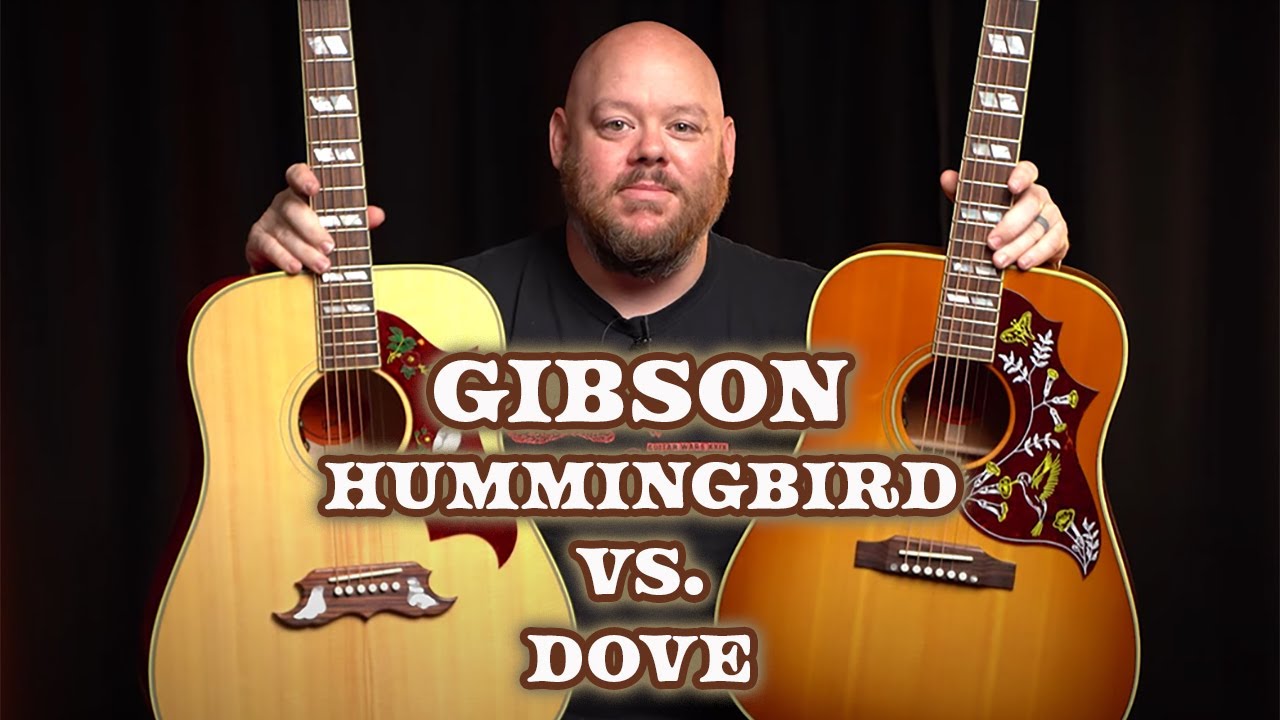 Сравнение акустических гитар Gibson | Hummingbird против Dove
