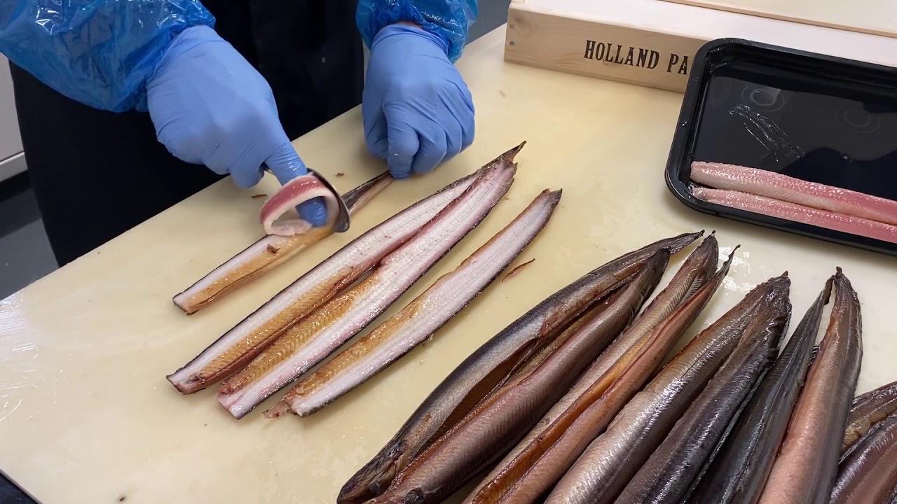 Paling fileren, hoe doe je dat? | Holland Paling Spaarndam