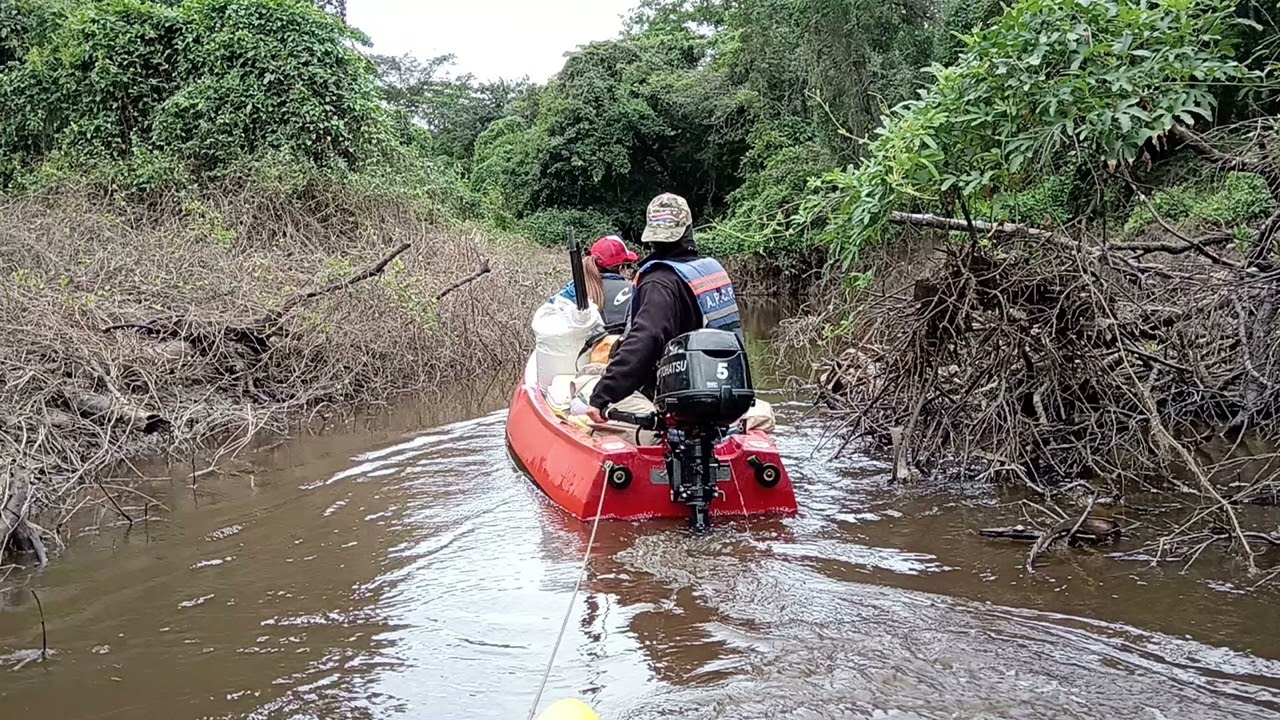 Descubre la Magia del Aguara Guazú: Una Aventura Espiritual que Cambiará tu Vida