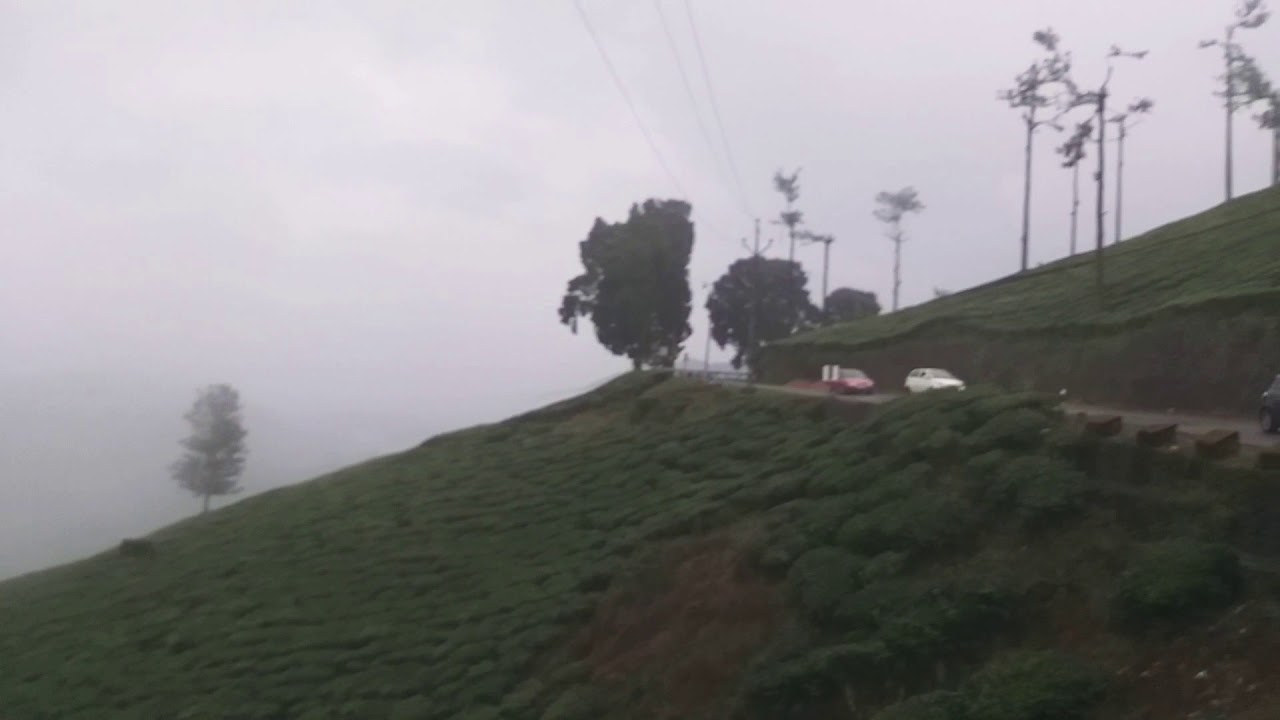 Kuttikanam Beautiful - Kerala Tourism