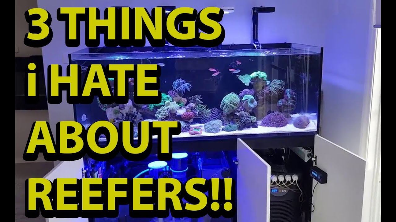 3 Things I hate About Redsea Reefers