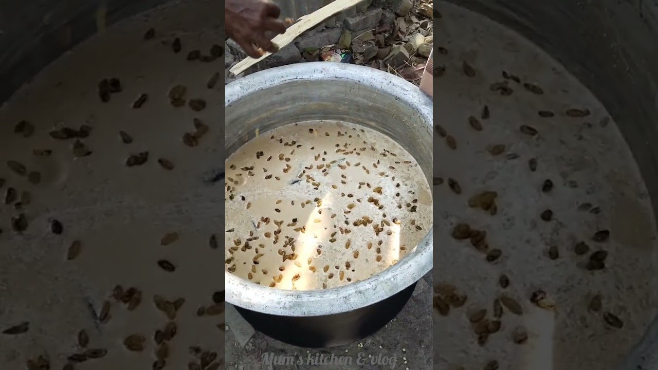 আমার নানা ভাইয়ের জন্য দোয়া অনুষ্ঠান। 