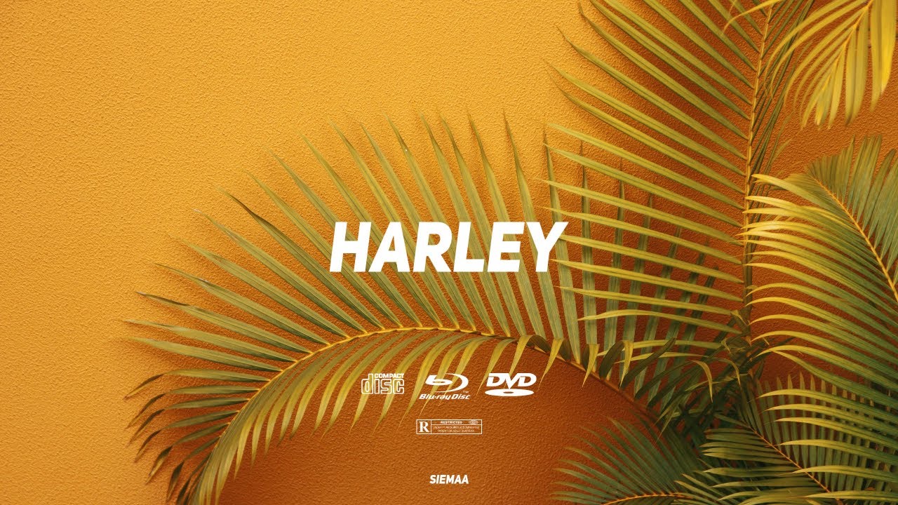 [FREE] dancehall beat instrumental 2023 