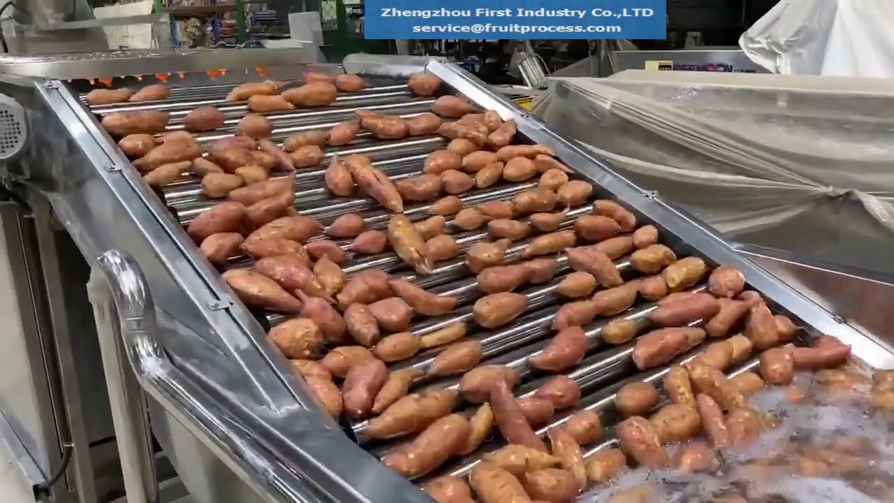 Sweet potato washing sorting grading system