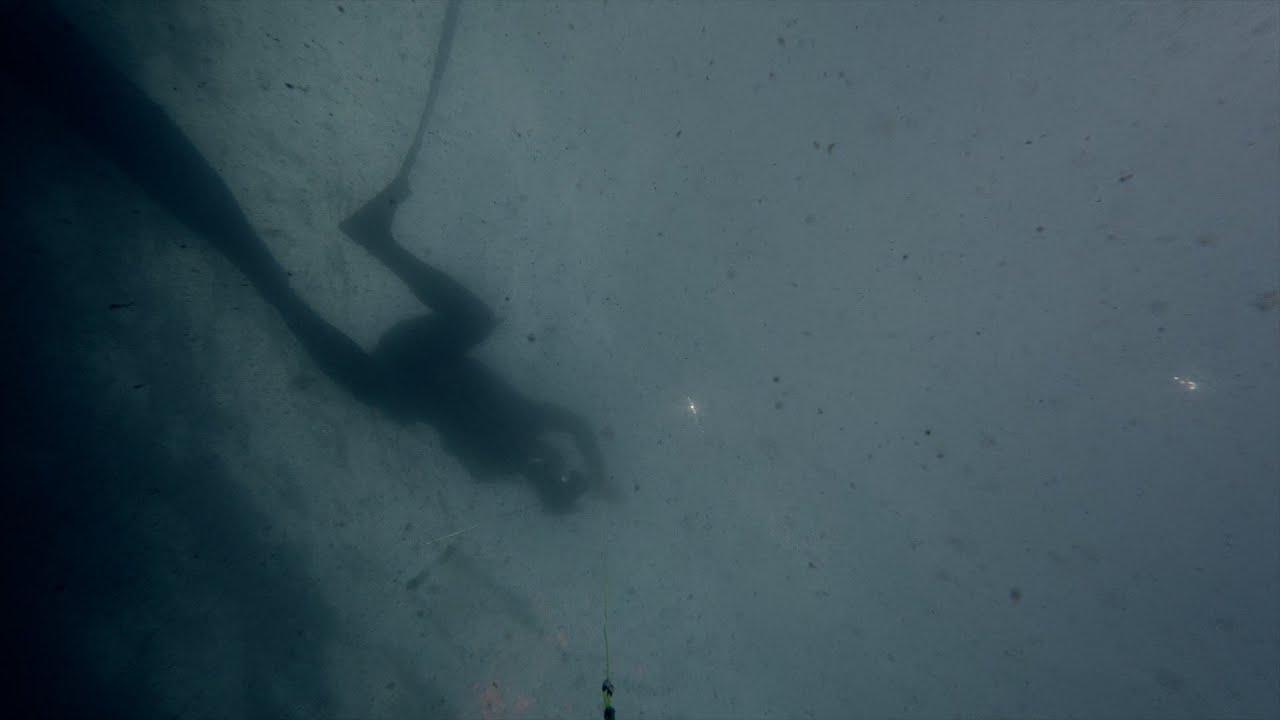 Spearfishing New York 2024 11 25  Skate Blackfish