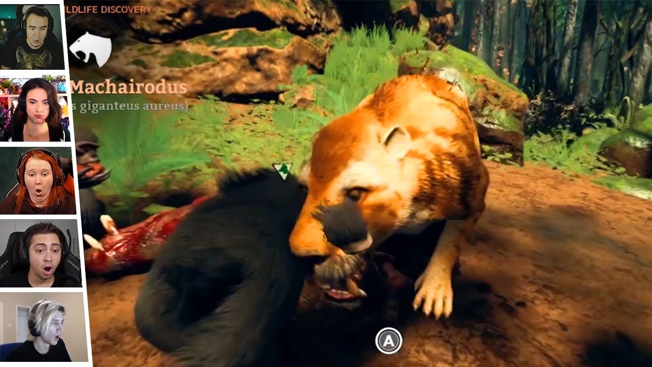 Ancestors: The Humankind Odyssey Funny moments Part 1 (Ancestors)
