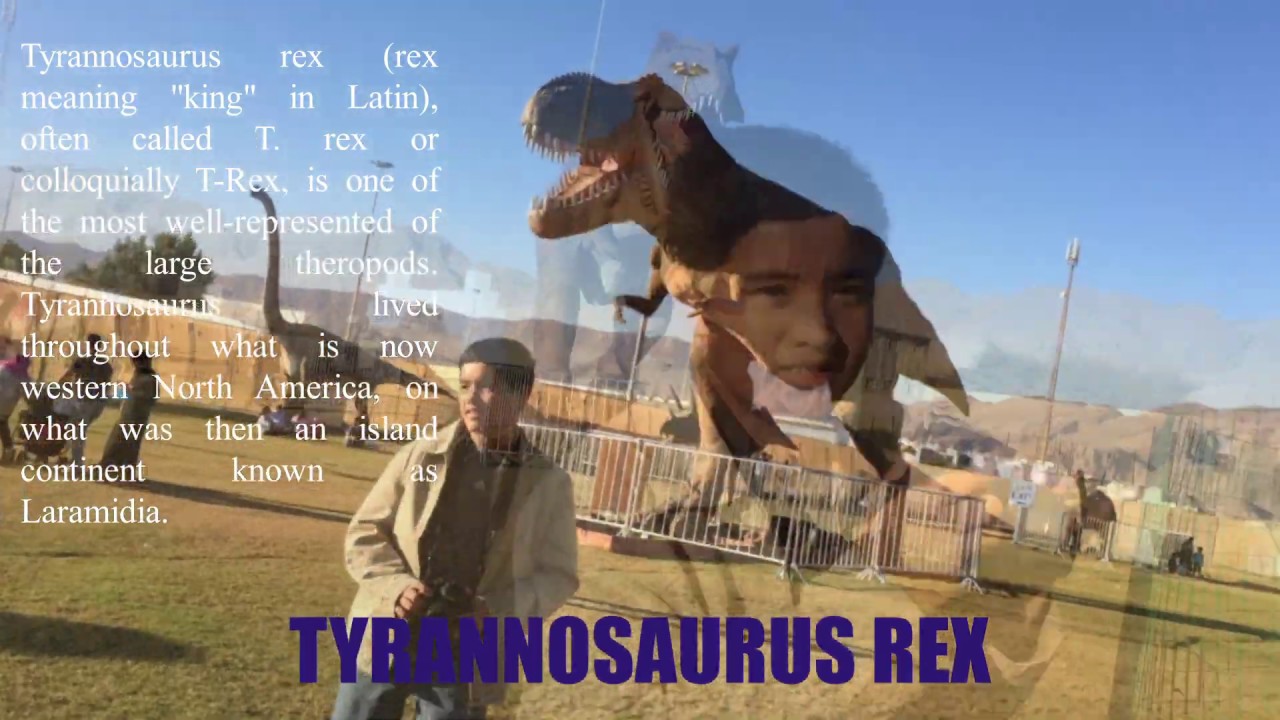 Dinosaur Village | Oman Festival | Groundbreaker