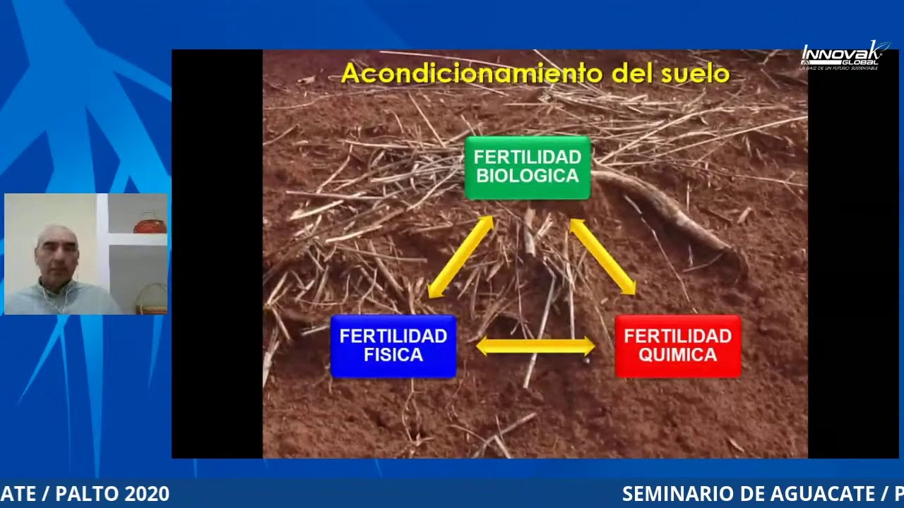 Seminario Aguacate/Palto 2020