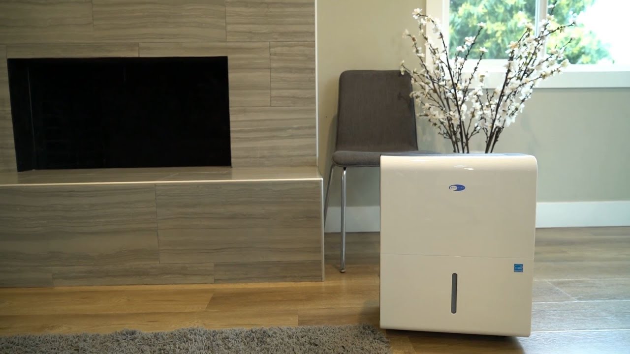 Whynter Elite D-Series Energy Star Portable Dehumidifier Featuring Model RPD-451DW