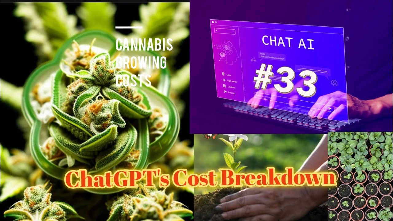 ChatGPT Reveals: The Cheapest Way to Grow Cannabis