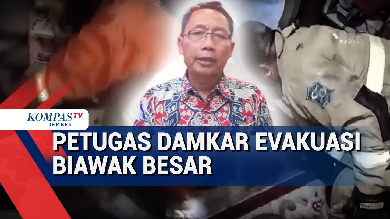 Biawak 1 Meter Masuk Rumah Warga Surabaya, Damkar Lakukan Evakuasi