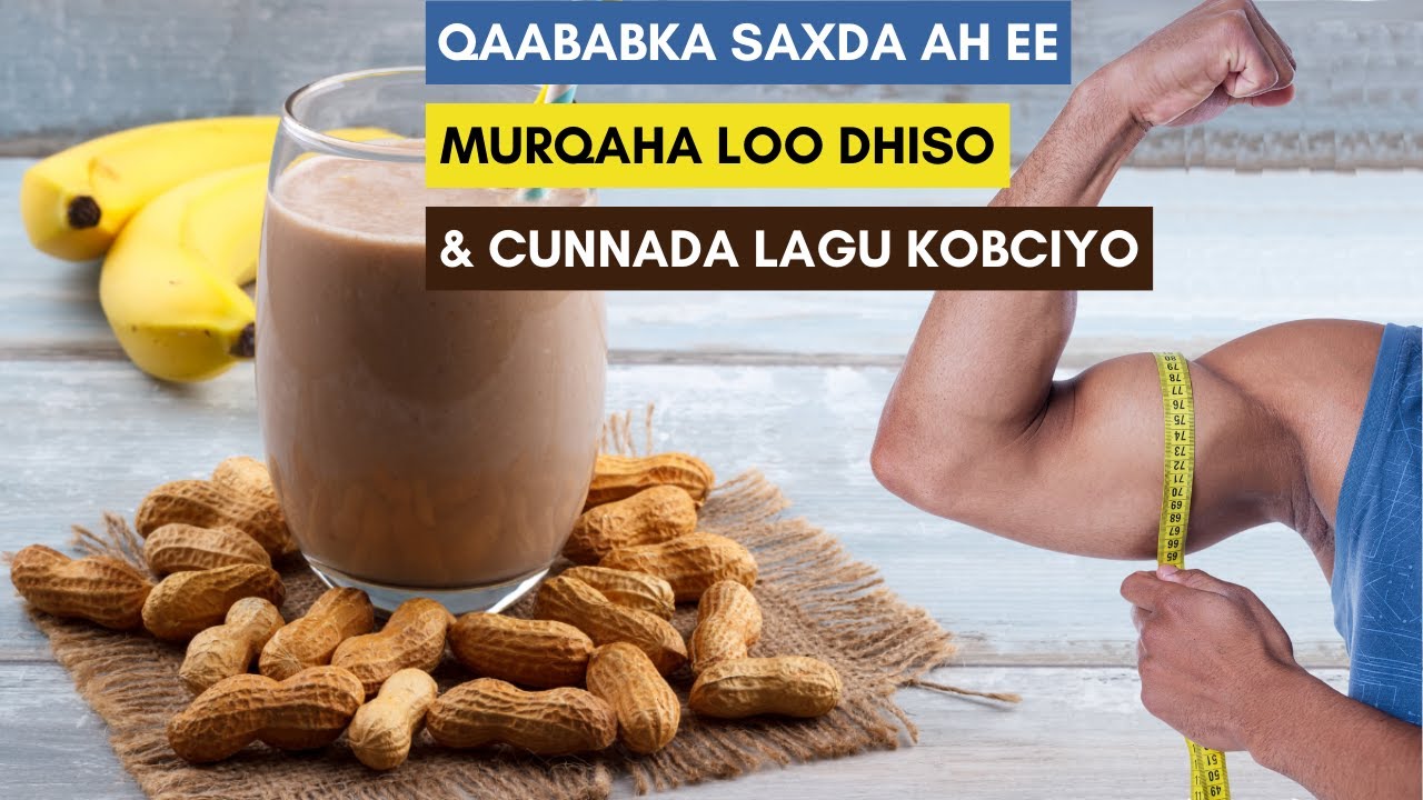 Cunooyinka Murqaha Lagu Dhiso & Sida Saxda Ah Ee Jir Dhiska Ragga