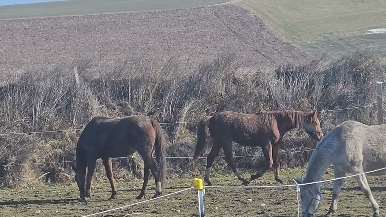 it's perfect time to relax