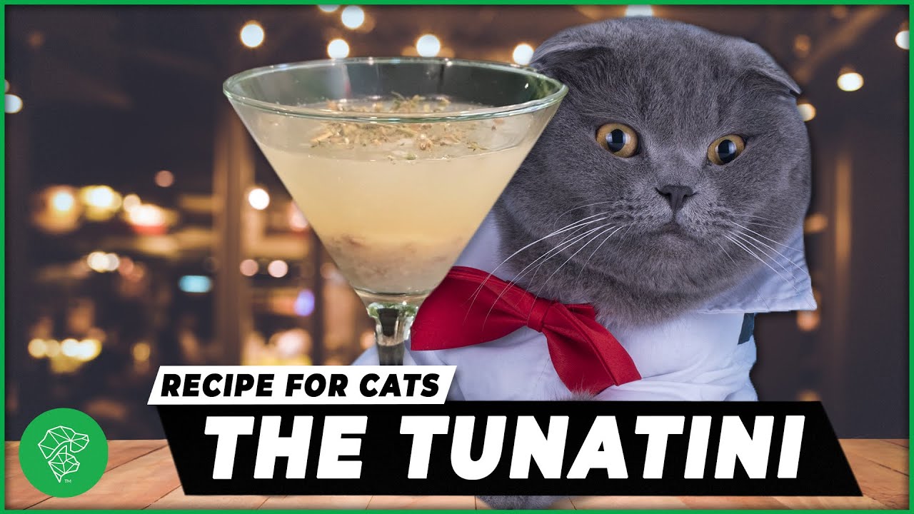 How To Make A 'Tunatini' | The Ultimate DIY Cat Treat