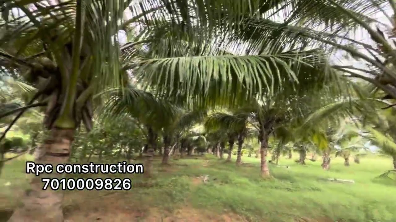 Project Number :655. Coconut thoppu for sale Samugarengapuram- Tirunelveli@rpcworld8740