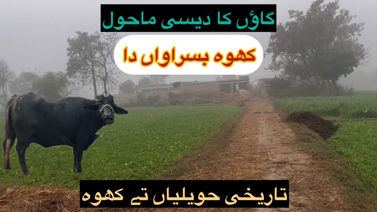 Desi life in village lDaily routine |desi villager boy fun with friends |