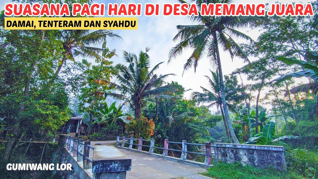 Syahdu ‼️ Pagi Berkabut dan Tenteram, Suasana Pedesaan di Wonogiri