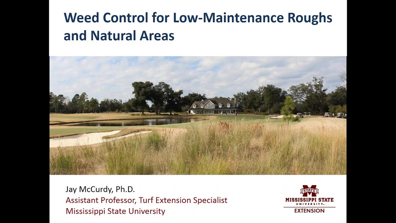 Weed Control for Low-Maintenance Roughs